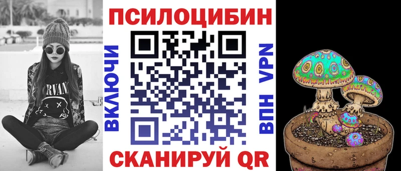 Галлюциногенные грибы Magic Shrooms  Купить закладки  Темников 